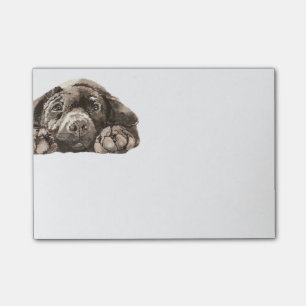 Notas Post-it® Labrador negro triste recuperador animal perro Mas