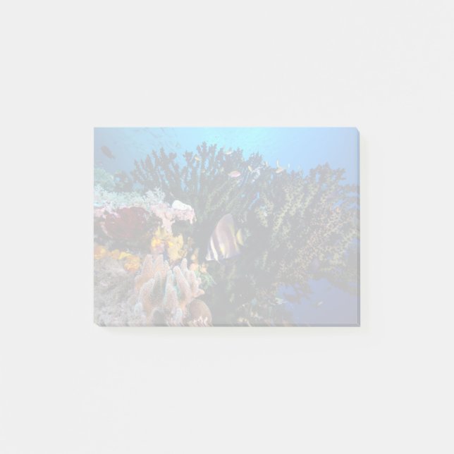 Notas Post-it® Laja Ampat 4 subacuáticos (Anverso)