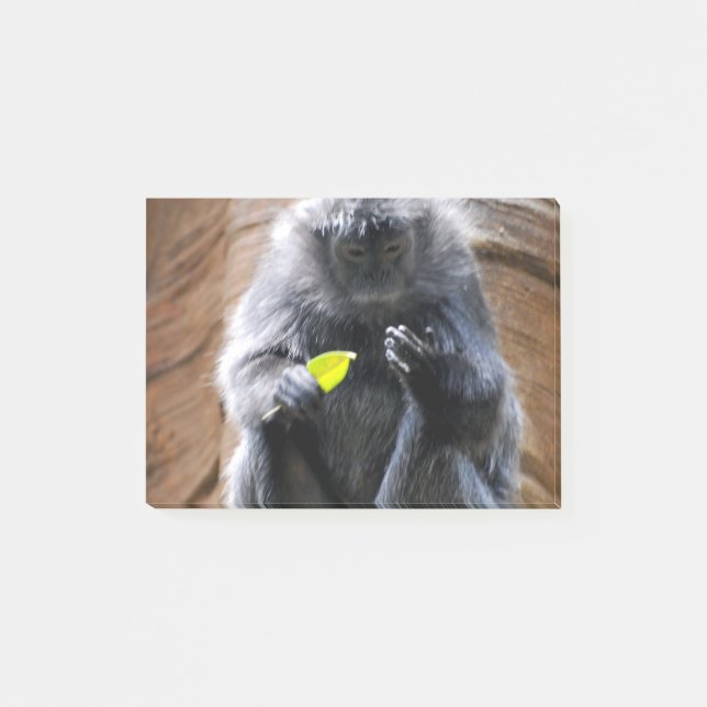 Notas Post-it® Langur del ébano (Anverso)