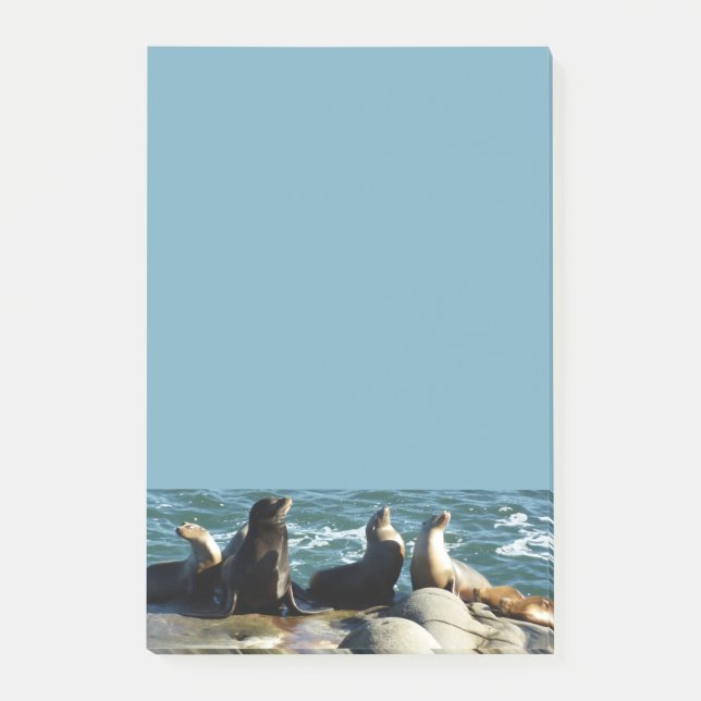 Notas Post-it® Leones marinos de San Diego (Anverso)