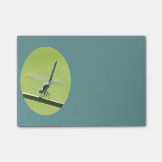 Notas Post-it® Libélula azul