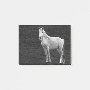 Notas Post-it® LIN10BW el Stance.tif