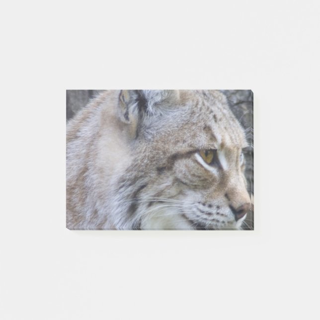 Notas Post-it® Lince (Anverso)