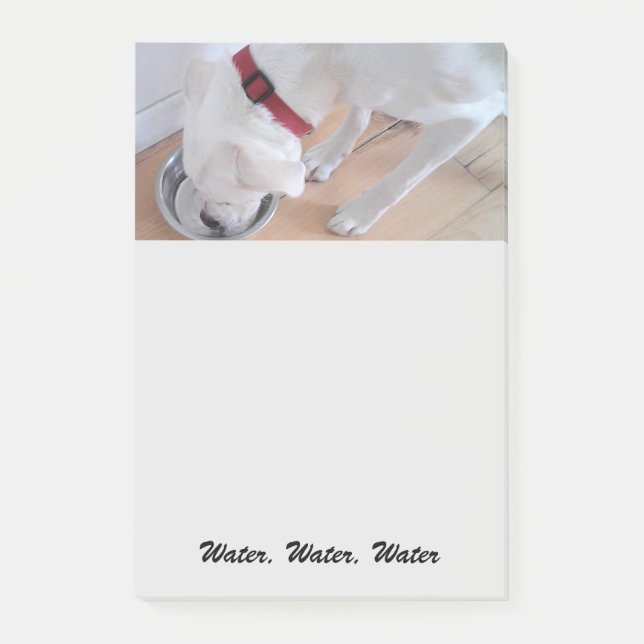 Notas Post-it® Lindo Labrador Blanco Mezcla de Perro Cachorro Beb (Anverso)