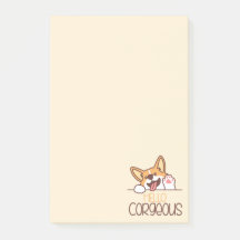 Lindo perro Corgi Hola