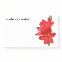 Lirio elegante / Hesperantha Coccinea