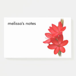 Notas Post-it® Lirio elegante / Hesperantha Coccinea