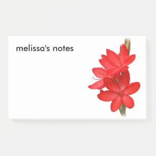 Notas Post-it® Lirio elegante / Hesperantha Coccinea