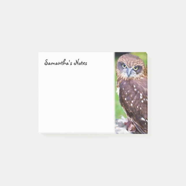Notas Post-it® Little Owl Post-It Notes (Anverso)
