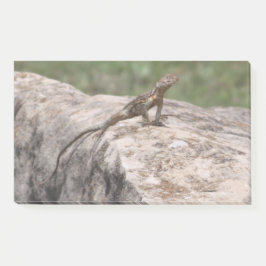 Notas Post-it® Lizard