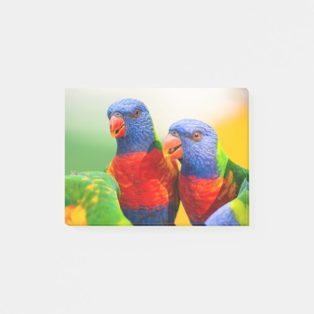 Notas Post-it® Lorikeets del arco iris (Anverso)