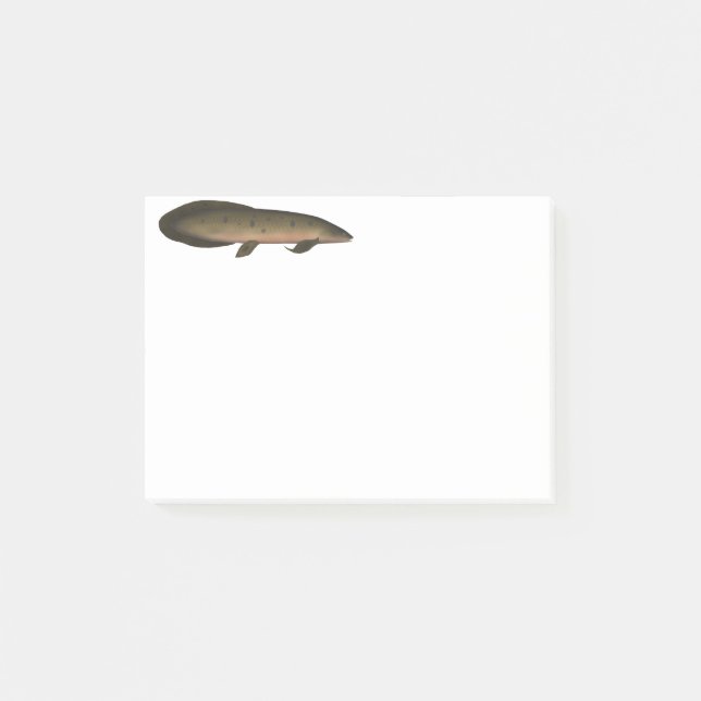 Notas Post-it® Lungfish australiano (Anverso)
