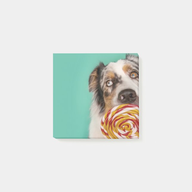 Notas Post-it® Lustiger Australian Shepherd Hund mit Lolli (Anverso)