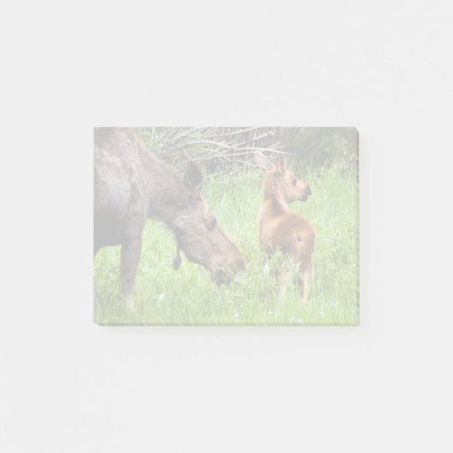 Notas Post-it® Madre alerta y bebé de dos alces (Anverso)