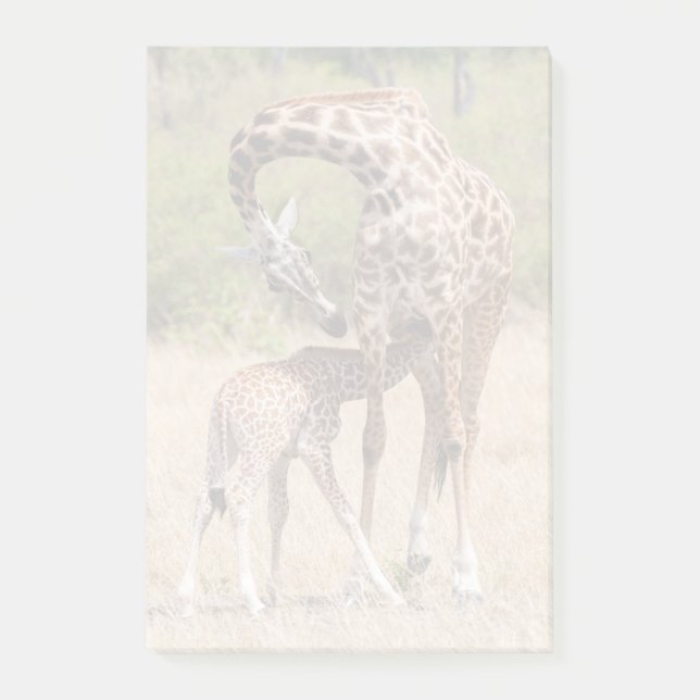 Notas Post-it® Madre y cría de jirafa en Kenia (Anverso)