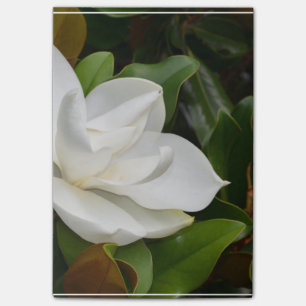 Notas Post-it® Magnolia blanca