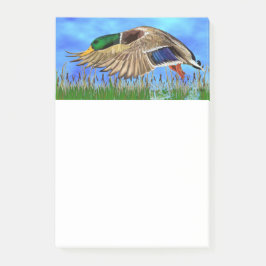 Notas Post-it® Mallard Duck