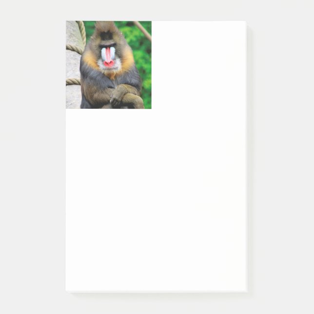 Notas Post-it® Mandrill 001 (Anverso)