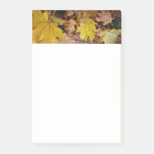 Notas Post-it® Maple caído deja naturaleza otoño amarilla