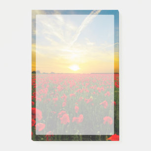 Notas Post-it® Maravilloso horizonte de puesta de sol en campo de