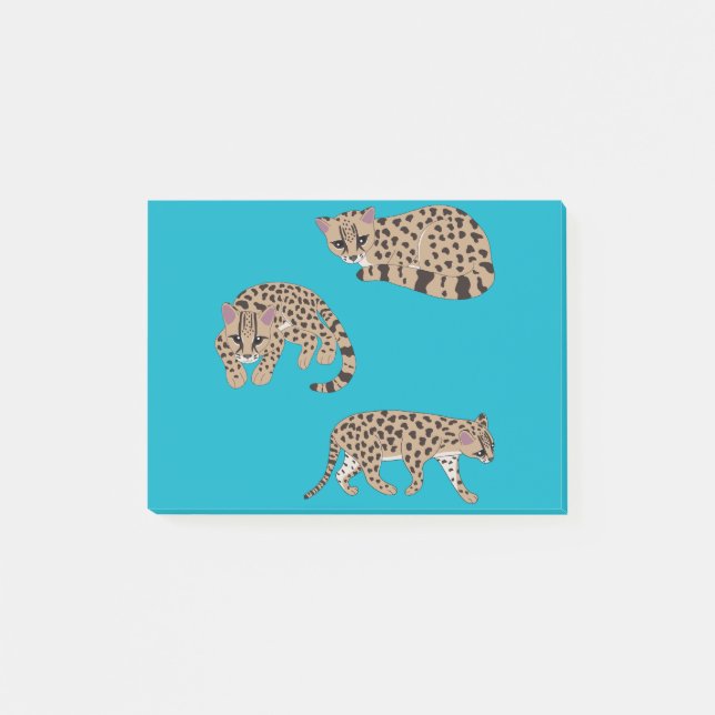 Notas Post-it® Margays (Anverso)