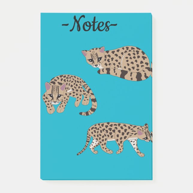 Notas Post-it® Margays (Anverso)