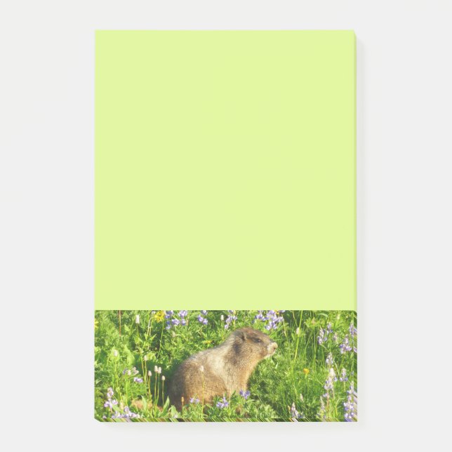 Notas Post-it® Marmot en Mont Rainier Wildflowers (Anverso)