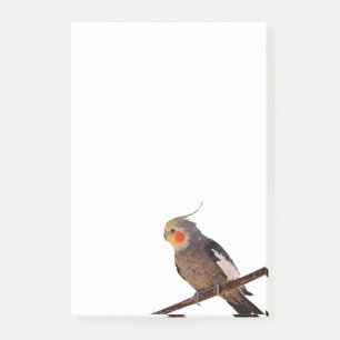 Notas Post-it® Mascota de cocaína gris y amarillo foto a color de