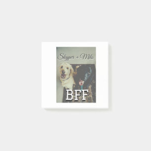 Notas Post-it® Mascotas amigos bestias agregar nombre mascota fot