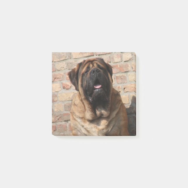 Notas Post-it® Mastiff englische Dogge (Anverso)