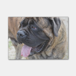Notas Post-it® Mastín Brindle