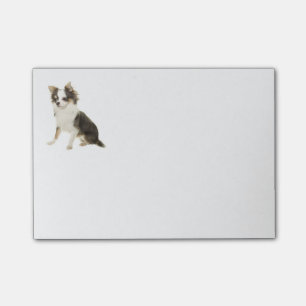 Notas Post-it® Me encanta el pelo largo Chihuahua Perro cachorro