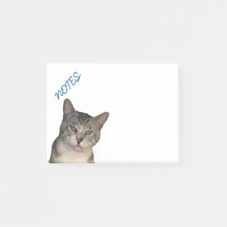 Notas Post-it® Meece Kitty Con Ojos Azules