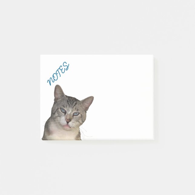 Notas Post-it® Meece Kitty Con Ojos Azules (Anverso)