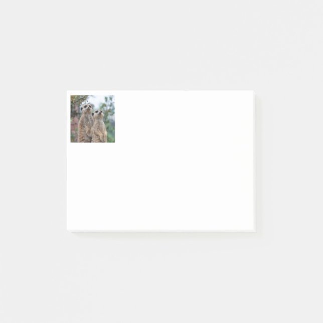 Notas Post-it® Meerkat 013 (Anverso)