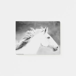 Notas Post-it® Melena de LIN26BW en el Wind.tif
