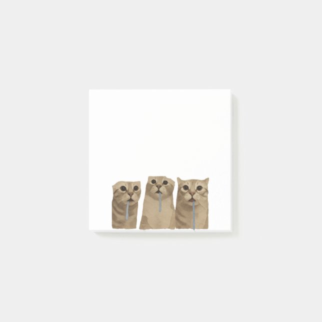 Notas Post-it® Meme de Gatos Tontos con Triple Baba (Anverso)