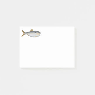 Notas Post-it® Menhaden argentino