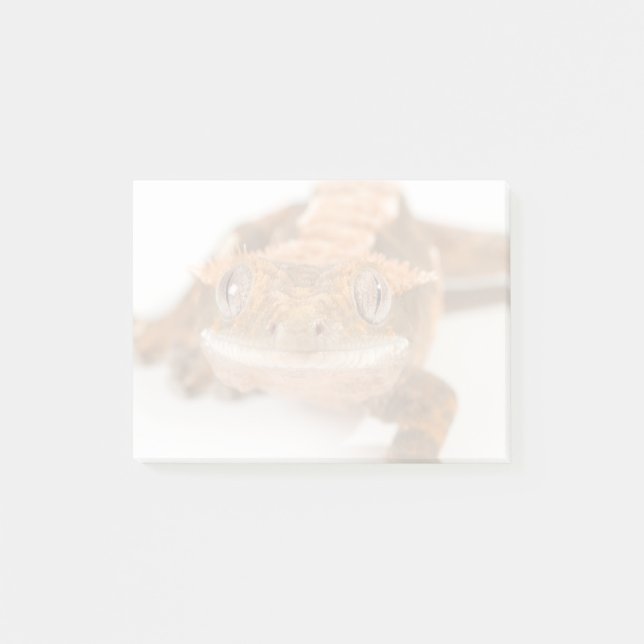 Notas Post-it® Mirada fija del Gecko (Anverso)