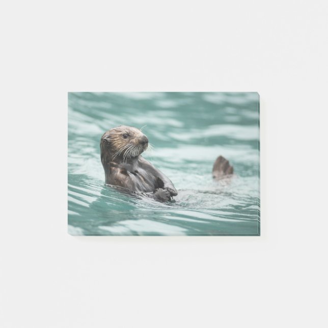 Notas Post-it® Mirando el Otter marino (Anverso)
