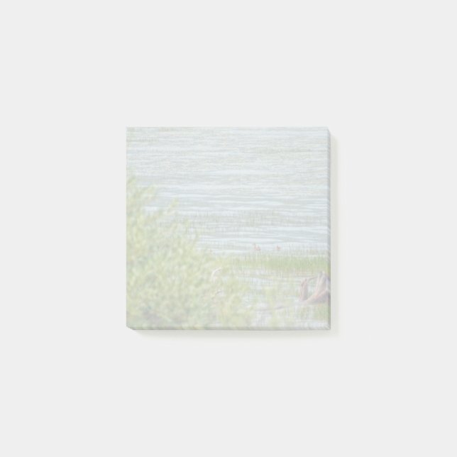 Notas Post-it® Movimiento Delicado (Anverso)