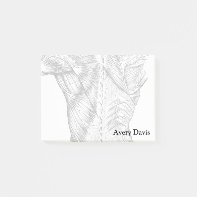Notas Post-it® Músculos del arte de la anatomía negra y blanca (1 (Anverso)