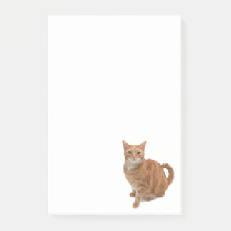 Notas Post-it® Naranja Cat Standing