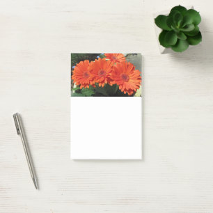 Notas Post-it® Naranja Daisy Flower Photo Post-it Notes