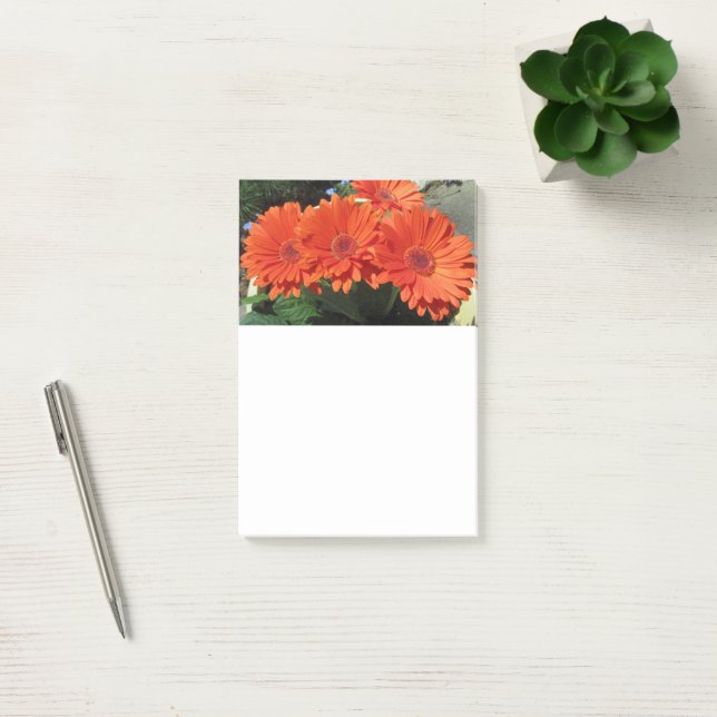Notas Post-it® Naranja Daisy Flower Photo Post-it Notes (Oficina)
