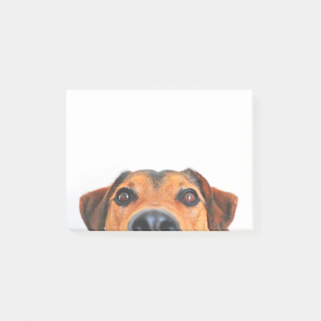 Notas Post-it® Nariz de perro linda horizontal (Anverso)