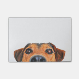 Notas Post-it® Nariz de perro linda horizontal