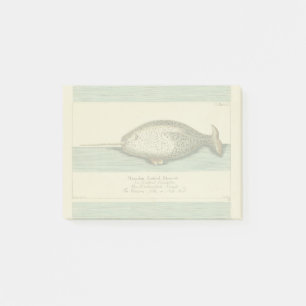 Notas Post-it® Narwhal Antiguo Whale Watercolor Arte Científico