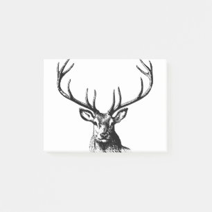 Notas Post-it® Naturaleza de las Antillas Animales de Cerveza
