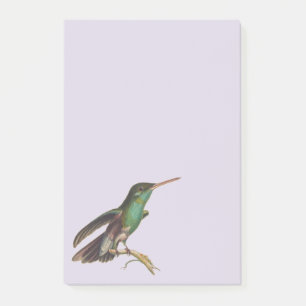 Notas Post-it® Naturaleza Pájaros salvajes Colibríes